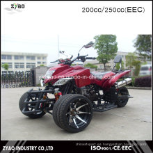 Quad Bicicleta deportiva ATV 250cc CEE